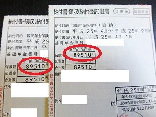 国民年金保険料の実例